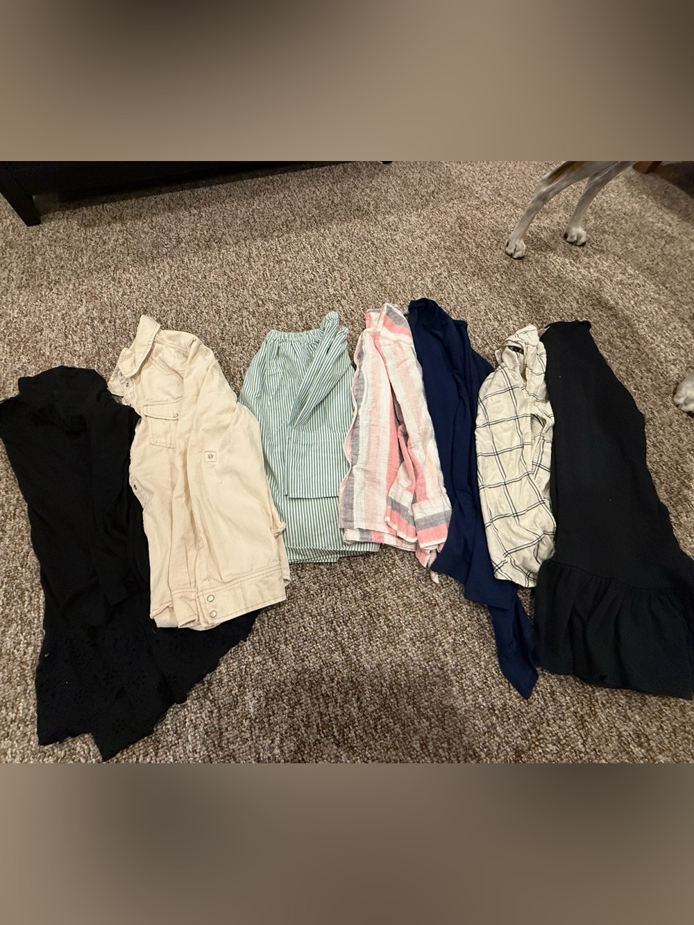 Women’s medium clothing lot